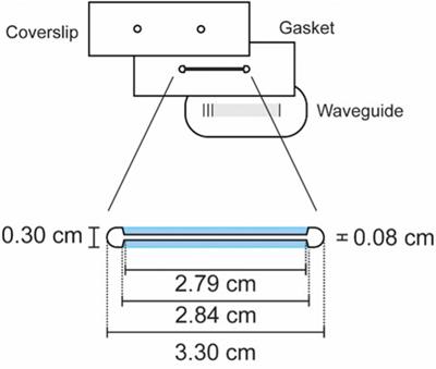 Amplification-free nucleic acid detection with a fluorescence-based waveguide biosensor